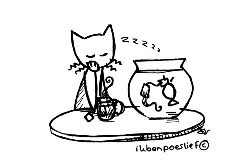 2011-03-01-goedemorgen-thee-3077448