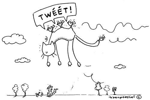 2011-03-07-tweet-we-hebben-een-kater-2523carnaval-8312697