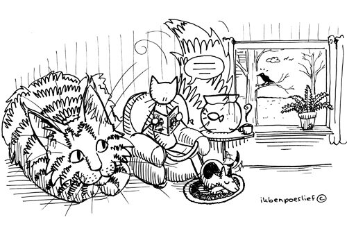 Poeslief leest voor… #boekenweekgeschenk #boekenweek