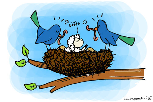 Twiet, twiet, bèèèh! #lente