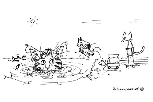 2011-03-22-wereld-water-dag-2011-3231442