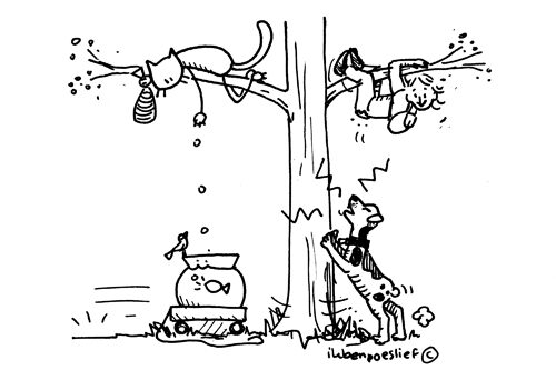 Meneer Spiderman blijft nog even…