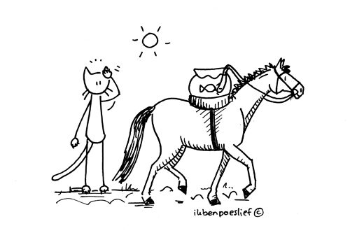 2011-04-06-vis-blijft-me-verbazen-9172602