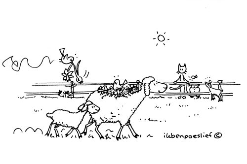 2011-04-11-lente-op-de-boerderij-6474456