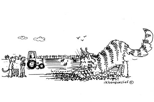 Vandaag helpen we mee op de boerderij #lente #boerenleven #platteland