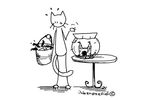 2011-04-20-goedmakertje-voor-vis-9486533