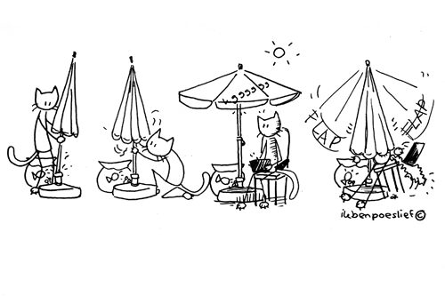 2011-05-01-parasol-perikelen-2936640