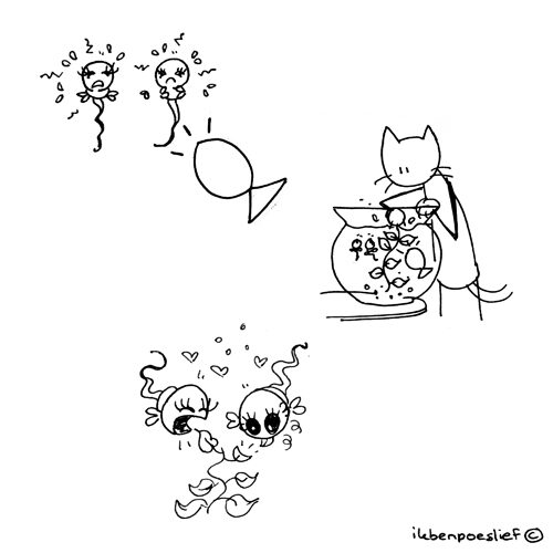 2011-05-03-feed-me2521-3711953