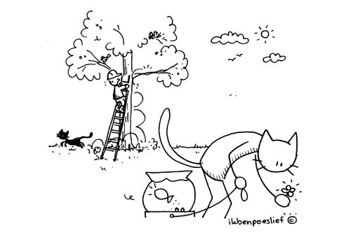 2011-05-13-vrijdag-de-13de-wat-een-geluk-3501893