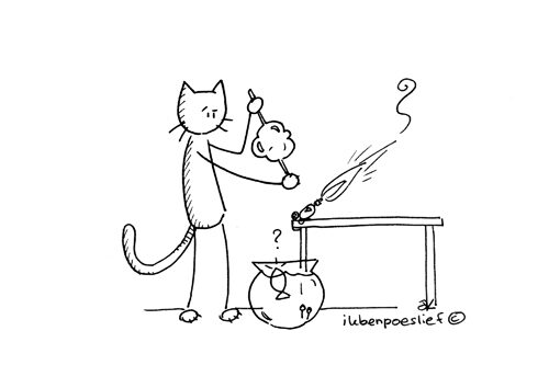 Poeslief probeerde een nieuw aquarium voor Vis te blazen