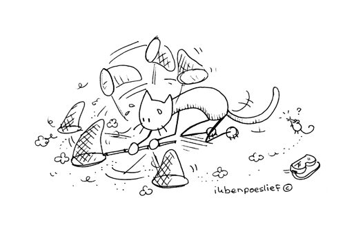 2011-05-18-hoe-een-poes-een-muis-vangt-7708204
