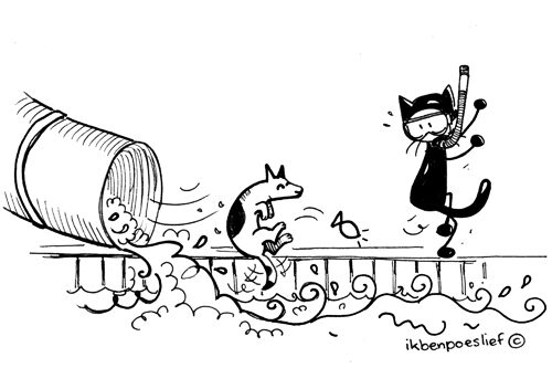 Poeslief was in een zwembad