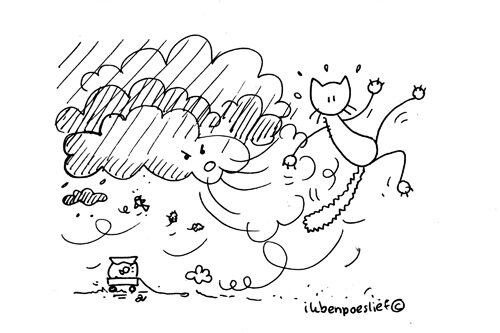 2011-05-26-stukje-wandelen-wind-9627938