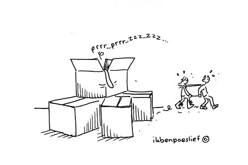 2011-05-28-poeslief-helpt-verhuizen-3795868