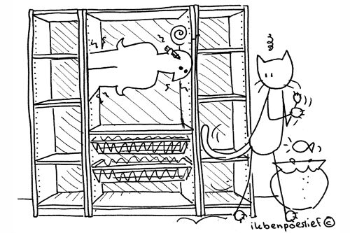 2011-06-11-poeslief-en-de-ikea-kast-deel-5-slot-2523planking-1869562