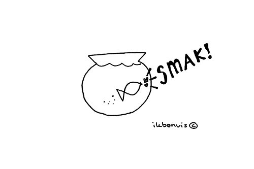 2011-06-24-vis-kus-fiscus-8855873