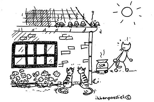 2011-06-29-mussen-vallen-van-het-dak-5853842