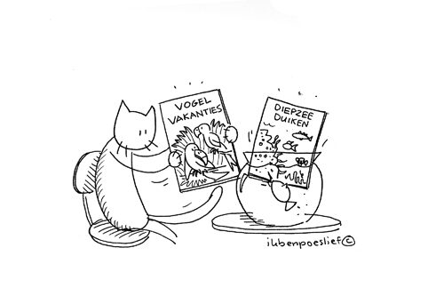 2011-07-08-eens-worden-over-vakantie-4515427