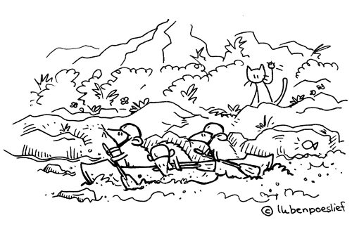 2011-08-01-vakantieactiviteiten-voor-dieren-wildwaterratraften-4369092