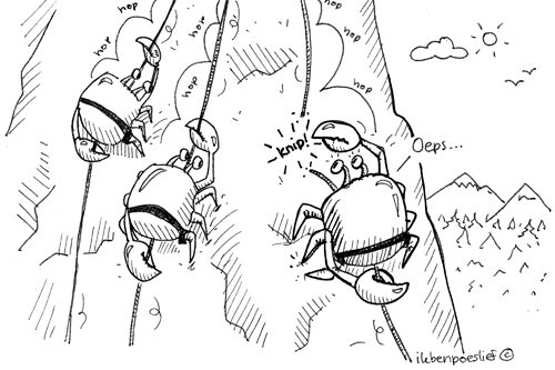 Vakantie-activiteiten voor dieren: Krabseilen #cartoonverzoek