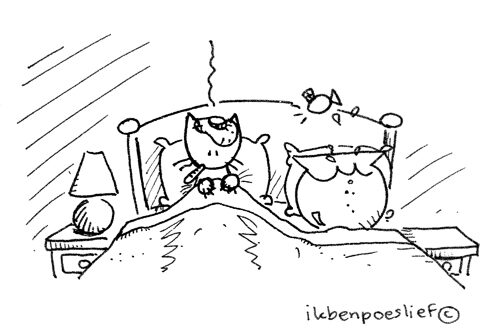 20110925-01-poeslief-is-ziek-7315799