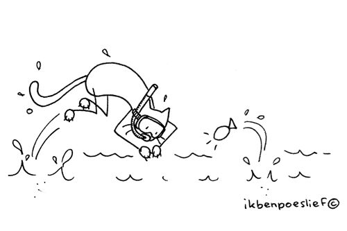 20110926-01-als-een-vis-in-het-water-2840514