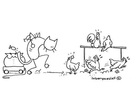 Poeslief voelt zich kiplekker! #weerbeter