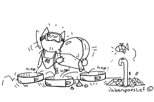 20111025-taart-4-6988258