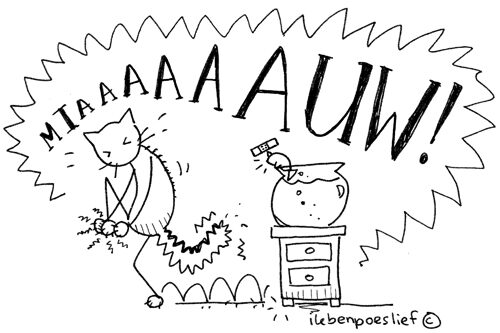 20111108-3-teen-stoten-au-6058446