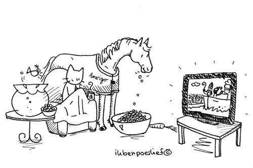 20111111-2-sinterklaas-intocht-amerigo-8546386