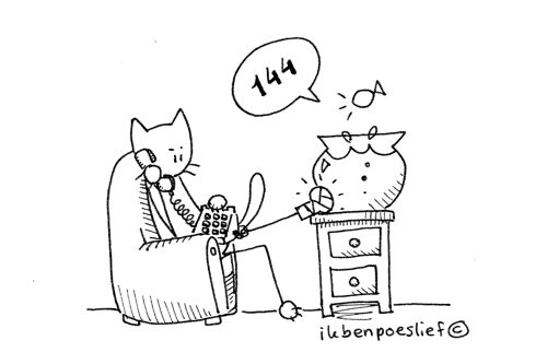 20111115-144-bellen-4577634