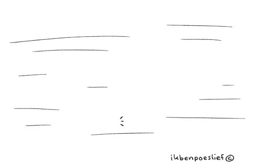 Poeslief & Vis in de mist