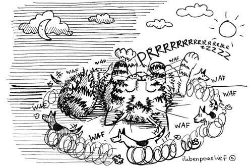 Avondmensen en/of ochtendmensen #goedemorgen