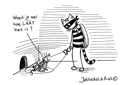 Avondmensen en ochtendmensen (en nachtmensen)