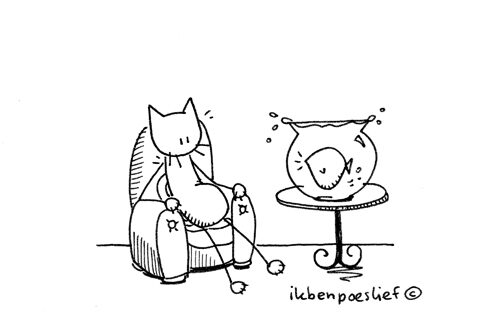 20111227-uitbuiken-1-1933535