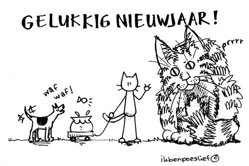 20111231-gelukkig-nieuwjaar-3423881