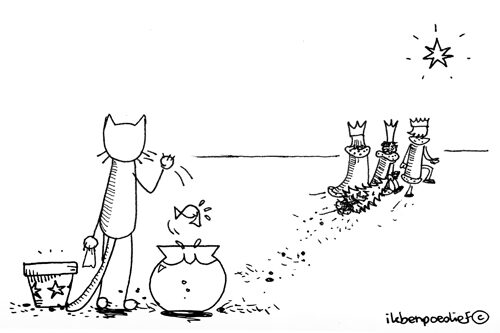 Poeslief & Vis hebben het er maar moeilijk mee #Driekoningen