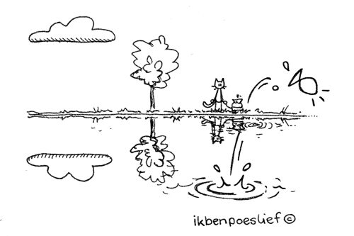 Een wandeling langs een windloze waterlijn