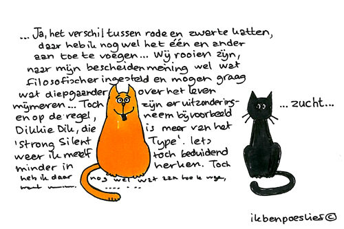 Over het schijnbare verschil tussen rode en zwarte katten…