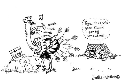 20120122-tuinvogeltelling-jattekat-rat-vreemde-vogel-2541306