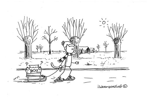 20120208-schaatsen-4499101