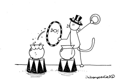 20120228-circus-hop-3787691