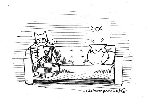 Poeslief & Vis ‘keken’ Lost…