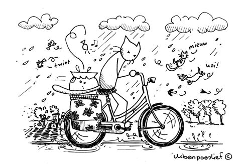 20120531-op-de-fiets-regen-7865991