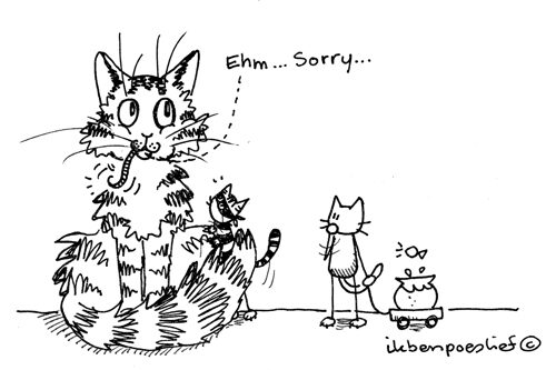 20120615-rat-zegt-sorry-5236358