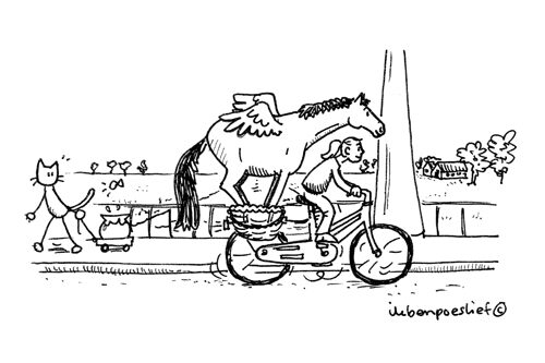 20120619-koriander-fietsmandje-4559085