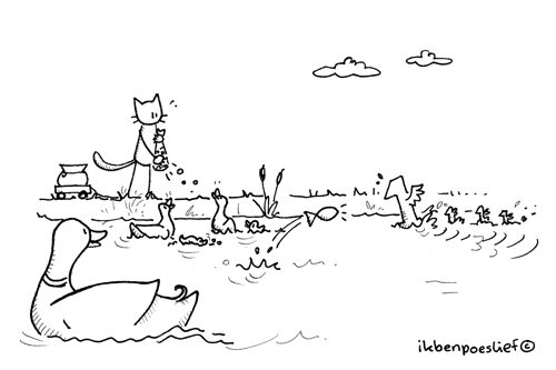 20120803-eendjes-eentjes-voeren-2255243