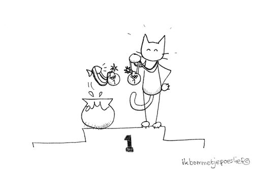 20120812-bommetje-5113988