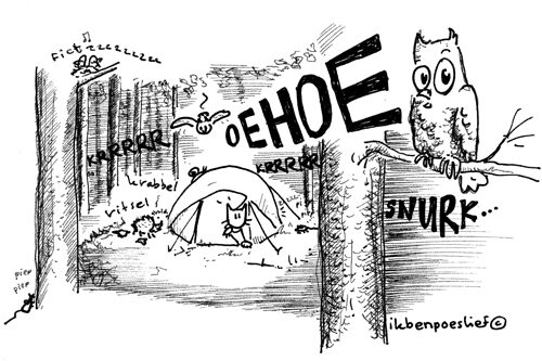 20120917-campinggeluiden-frankrijk-7109093