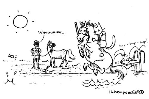 20120919-zwemmen-met-paarden-2-3128952